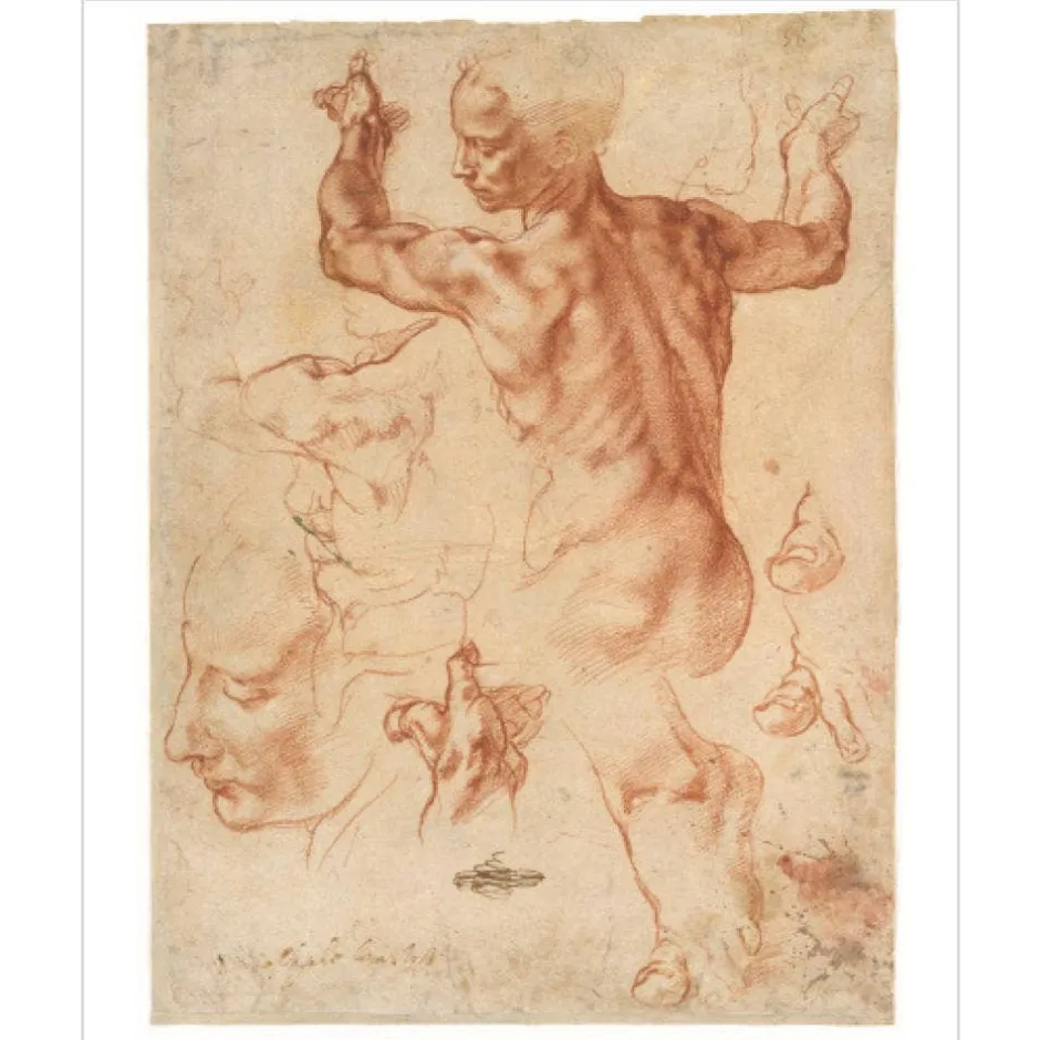 Hot ART IS... Met Publications|Art History & Reference