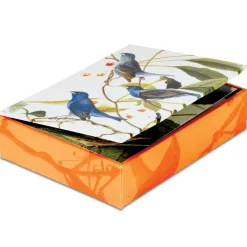 Hot Audubon Birds Notecards Notecards & Correspondence