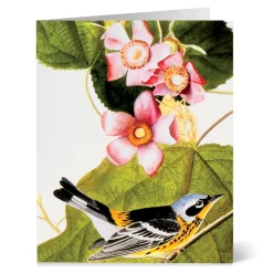 Hot Audubon Birds Notecards Notecards & Correspondence