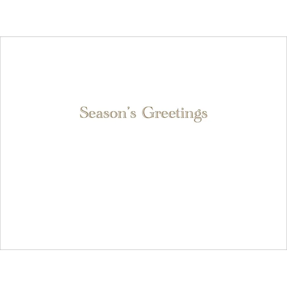 Clearance Brockman: Park in Winter Holiday Cards Holiday Cards