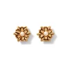 Discount French Amor Stud Earrings Earrings