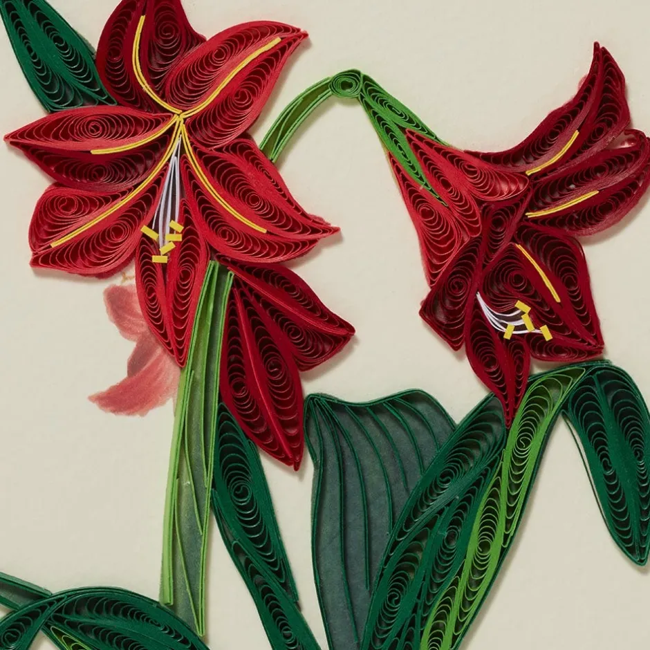 Discount Hybrid Amaryllis Quilled Holiday Card Holiday Cards
