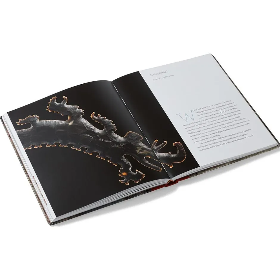 Clearance Lives of the Gods: Divinity in Maya Art Met Publications|Exhibition Catalogues