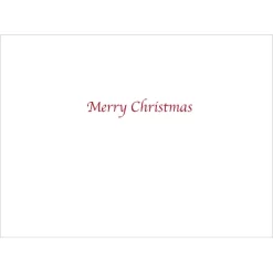 Hot Mars: Nativity Holiday Cards Holiday Cards