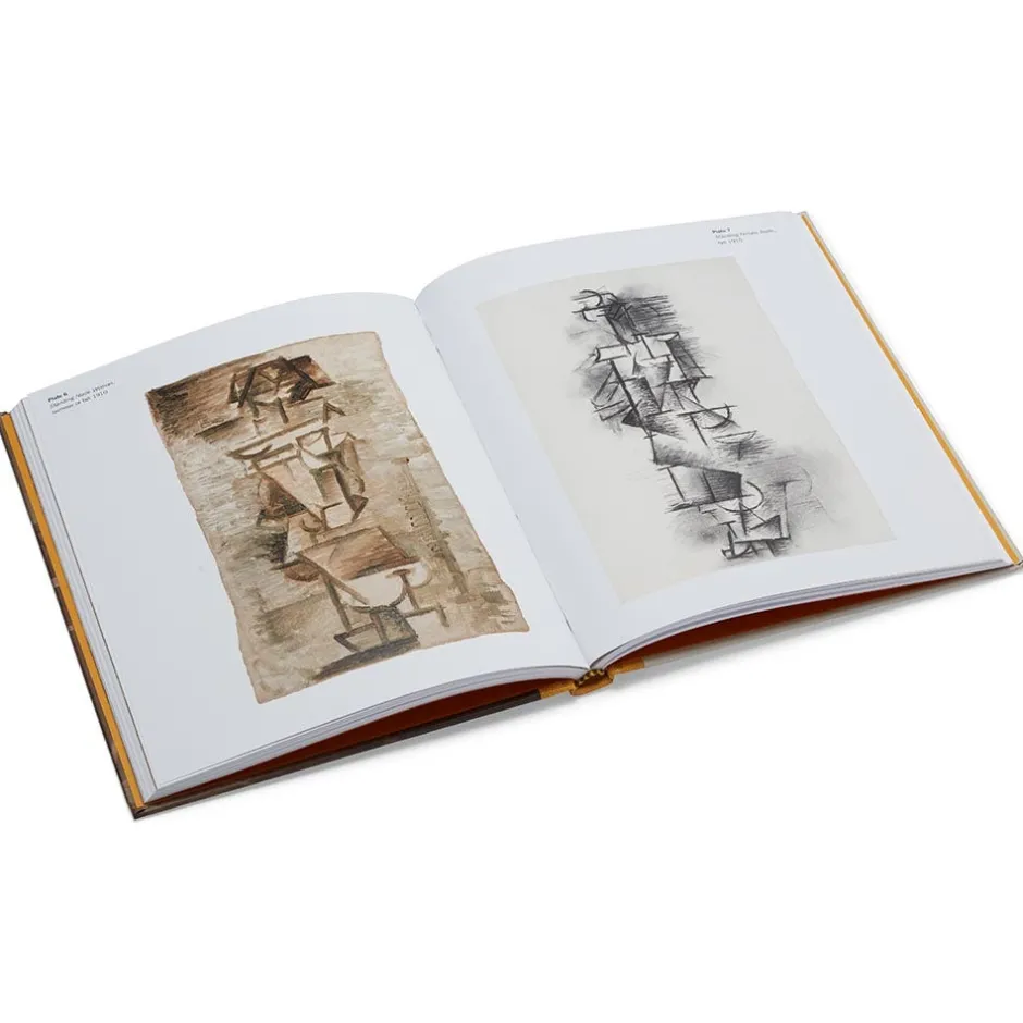 Clearance Picasso: A Cubist Commission in Brooklyn Coffee Table Books|Met Publications