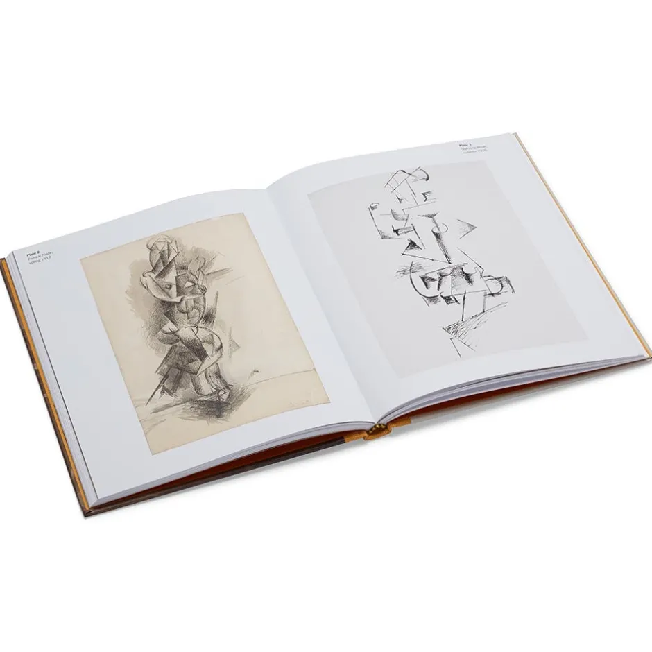 Clearance Picasso: A Cubist Commission in Brooklyn Coffee Table Books|Met Publications