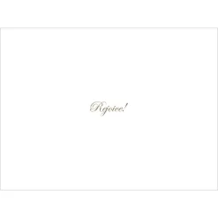 Hot Romano: The Nativity Holiday Cards Holiday Cards