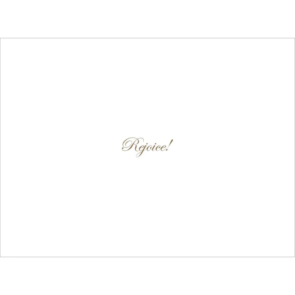 Hot Romano: The Nativity Holiday Cards Holiday Cards