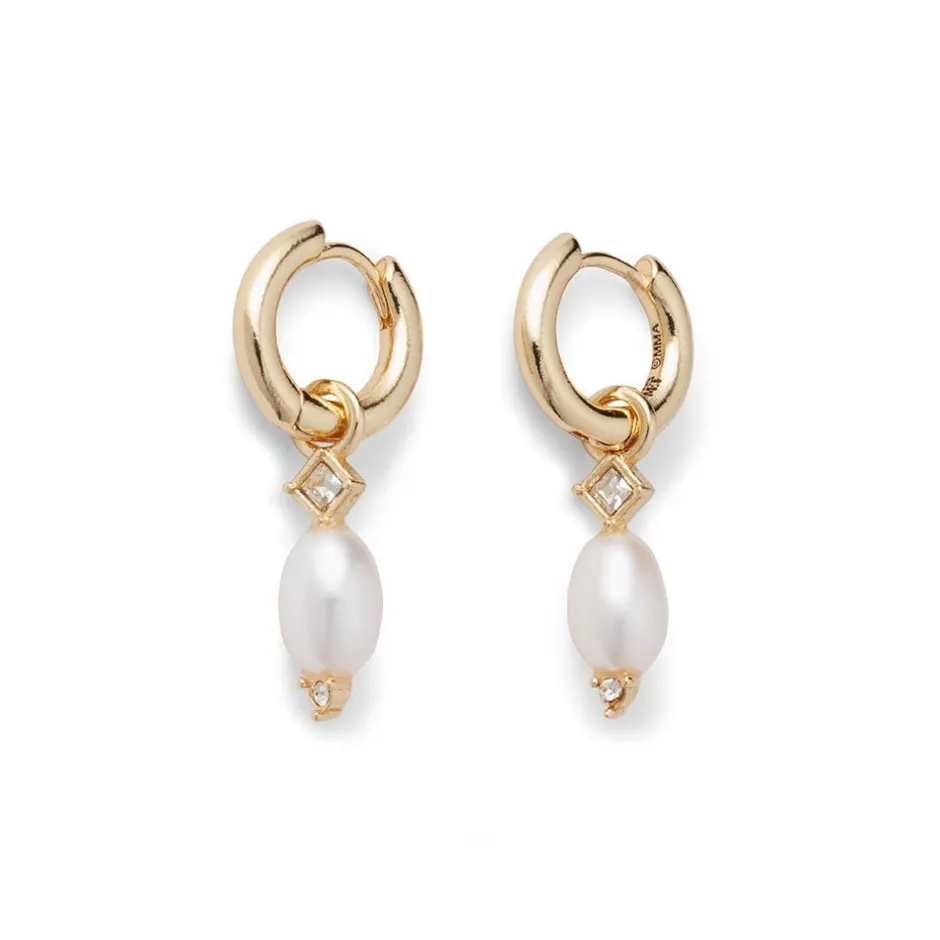 Hot Royal Tudor Small Hoop Earrings with Pearls Earrings