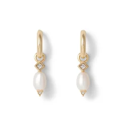 Hot Royal Tudor Small Hoop Earrings with Pearls Earrings