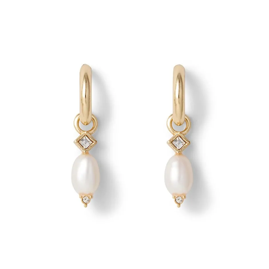 Hot Royal Tudor Small Hoop Earrings with Pearls Earrings
