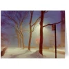 Discount Staller: Sutton Place, New York City Holiday Cards Holiday Cards