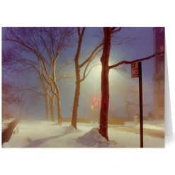 Discount Staller: Sutton Place, New York City Holiday Cards Holiday Cards