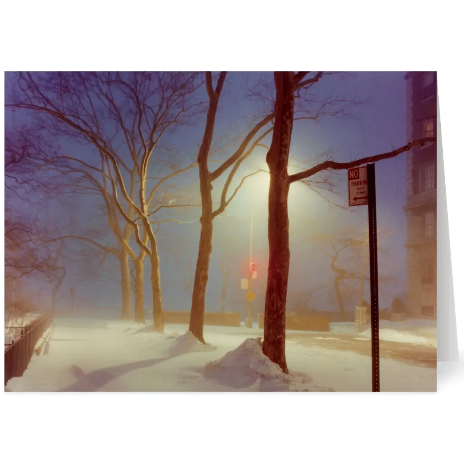 Discount Staller: Sutton Place, New York City Holiday Cards Holiday Cards