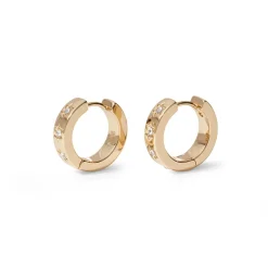 Hot Star Huggie Earrings Earrings