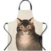 Outlet The Favorite Cat Apron Tableware