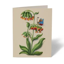 Online The Met Cloisters Garden Notecards Notecards & Correspondence