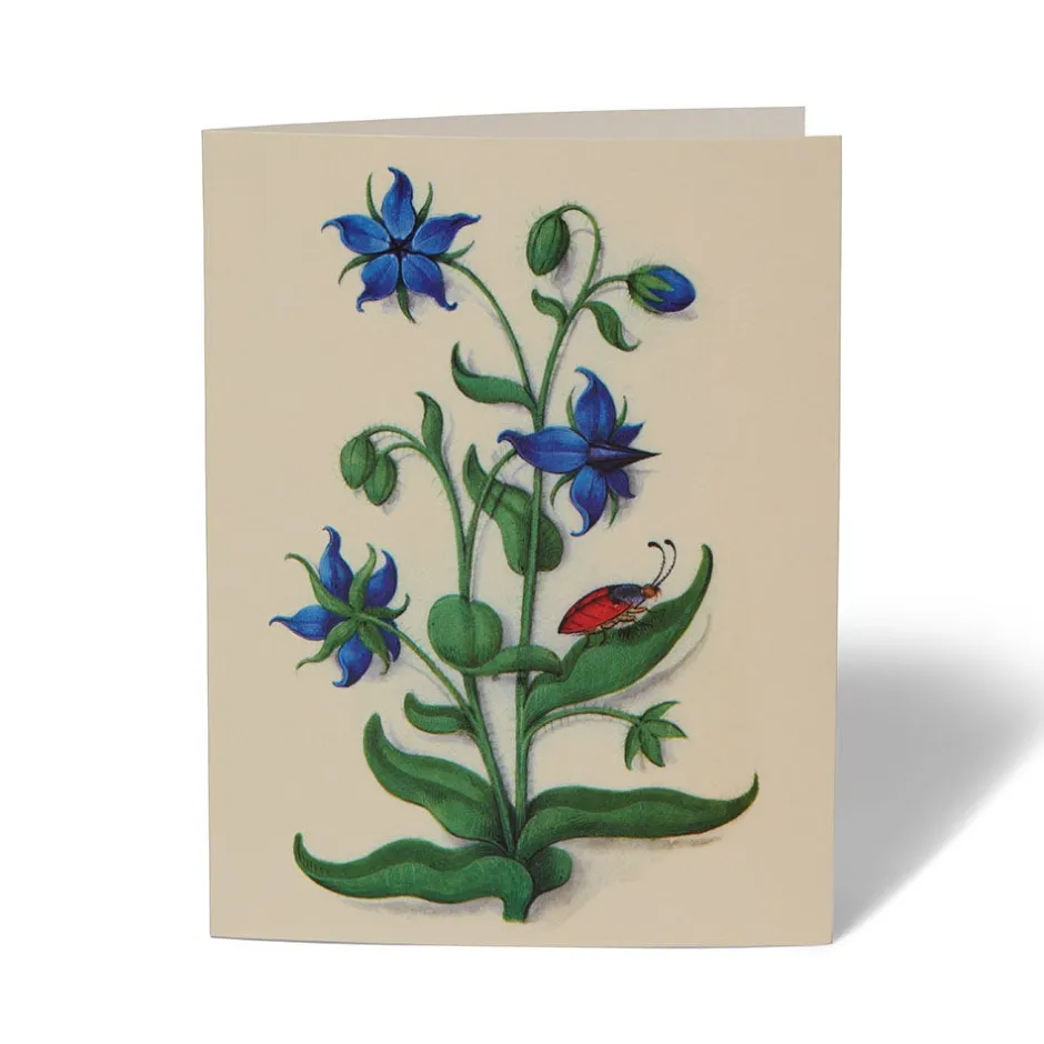 Online The Met Cloisters Garden Notecards Notecards & Correspondence