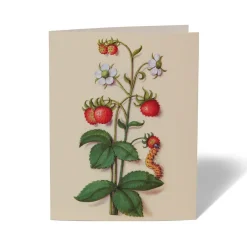 Online The Met Cloisters Garden Notecards Notecards & Correspondence