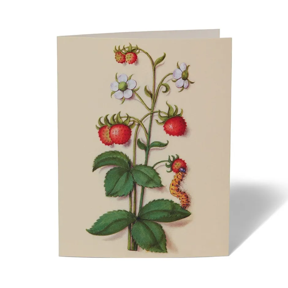 Online The Met Cloisters Garden Notecards Notecards & Correspondence