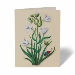 Online The Met Cloisters Garden Notecards Notecards & Correspondence