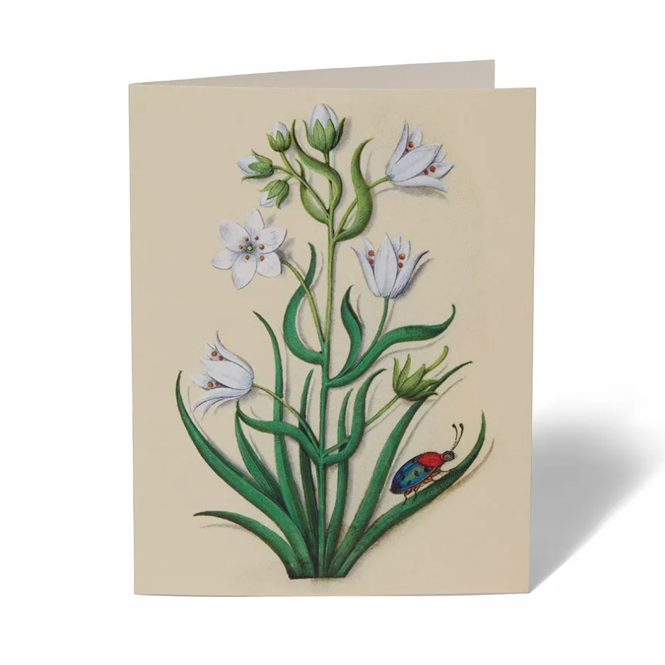 Online The Met Cloisters Garden Notecards Notecards & Correspondence