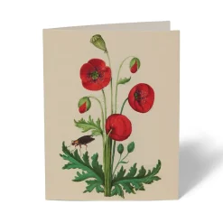 Online The Met Cloisters Garden Notecards Notecards & Correspondence