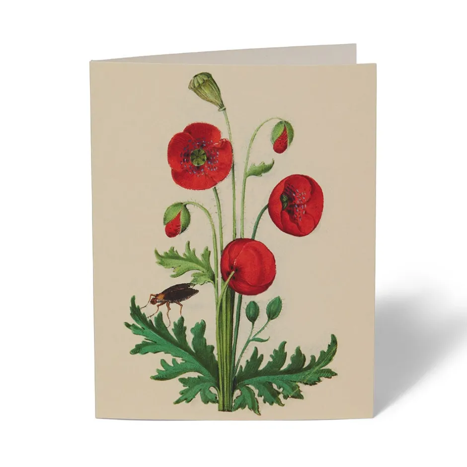 Online The Met Cloisters Garden Notecards Notecards & Correspondence