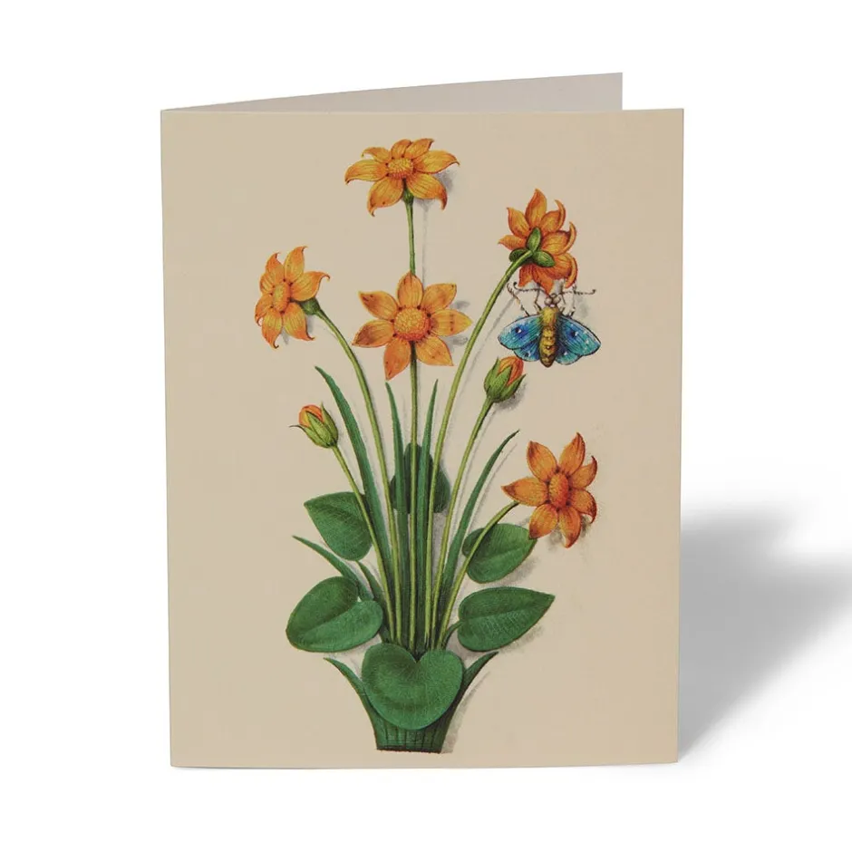 Online The Met Cloisters Garden Notecards Notecards & Correspondence