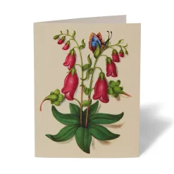 Online The Met Cloisters Garden Notecards Notecards & Correspondence