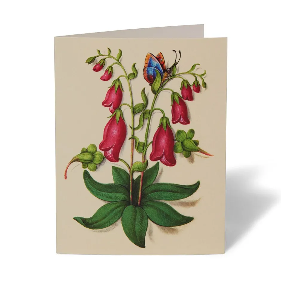 Online The Met Cloisters Garden Notecards Notecards & Correspondence